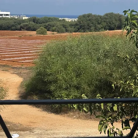 Daire Serenity With Pool